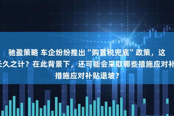 驰盈策略 车企纷纷推出“购置税兜底”政策，这是否为长久之计？在此背景下，还可能会采取哪些措施应对补贴退坡？